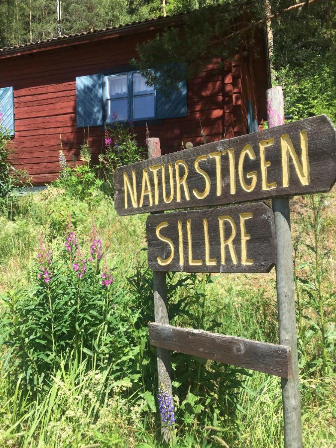 Utsiktens Turistgard 山林小屋 *